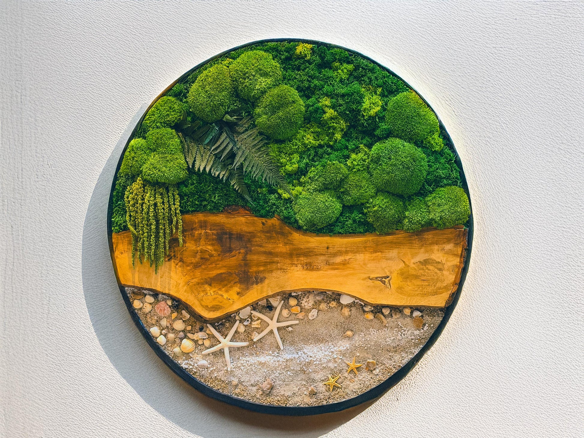 Circular Preserved Moss and Wood Wall Art with Seashells, Real plant wall decor, mossartbyrishstudio