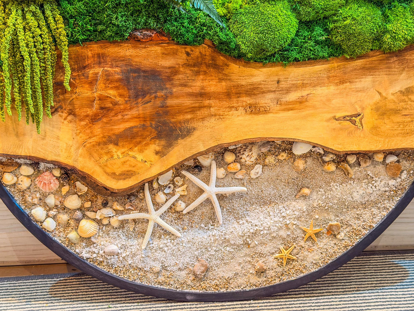 Circular Preserved Moss and Wood Wall Art with Seashells, Real plant wall decor, mossartbyrishstudio