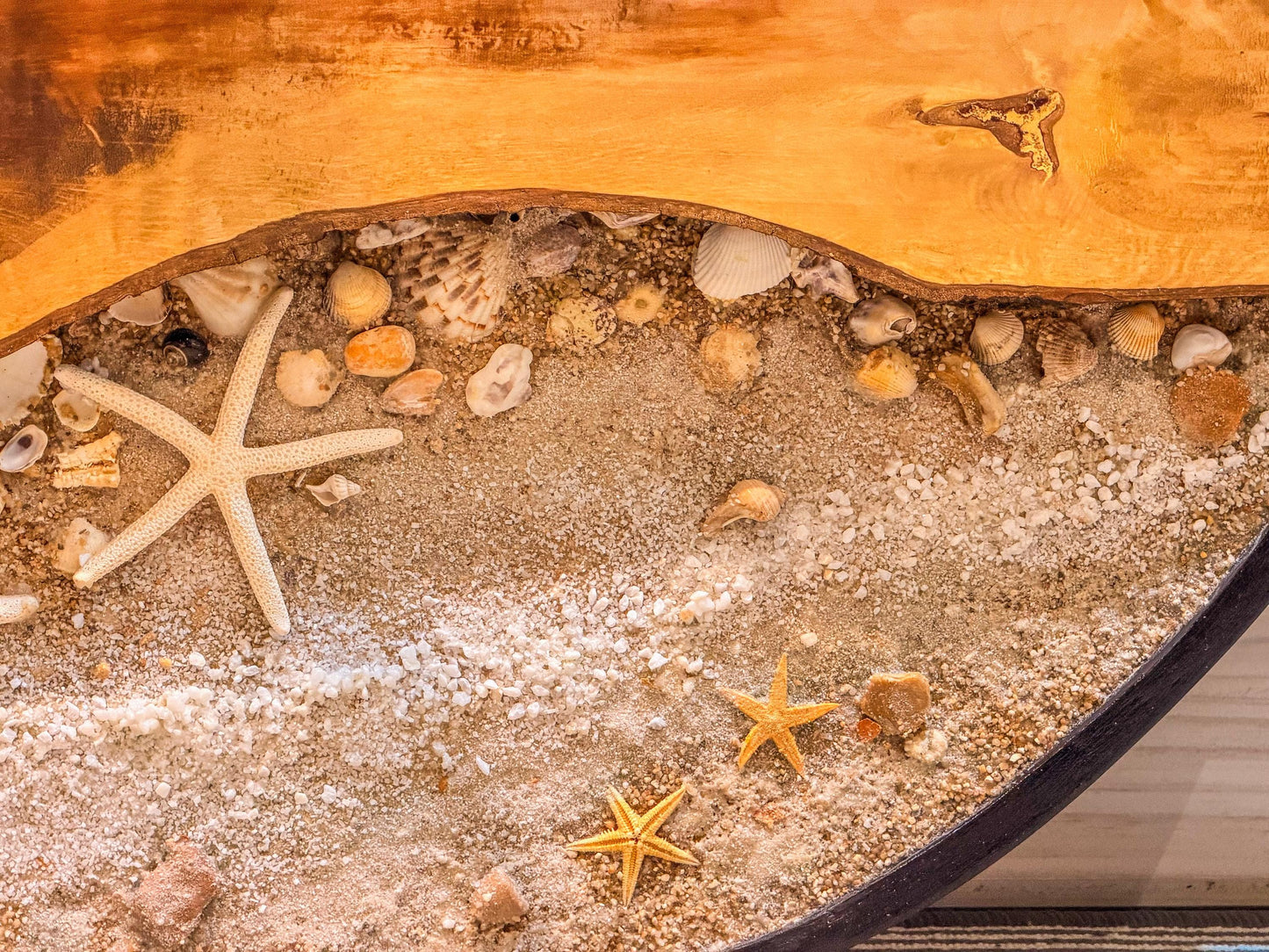 Circular Preserved Moss and Wood Wall Art with Seashells, Real plant wall decor, mossartbyrishstudio