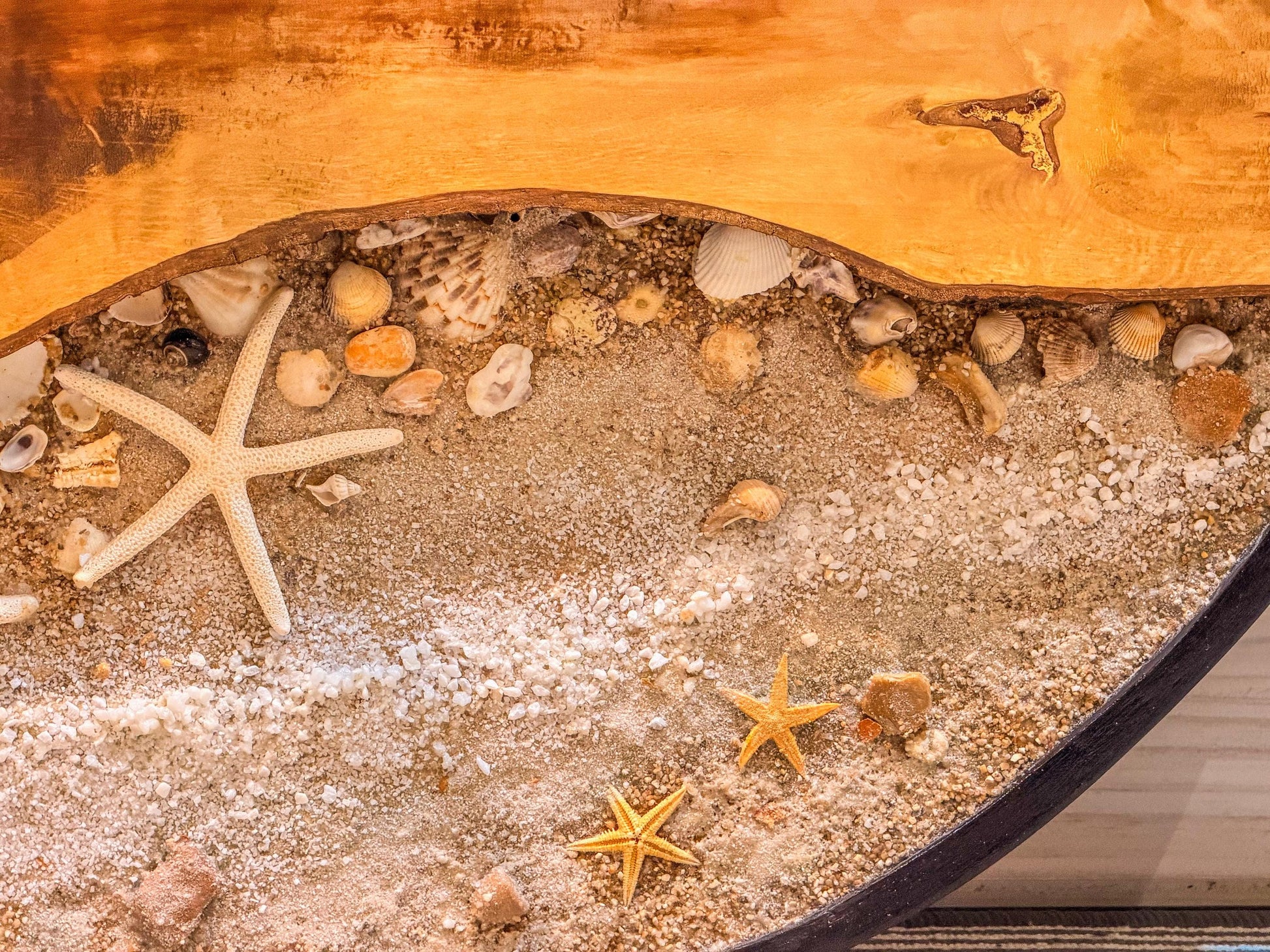 Circular Preserved Moss and Wood Wall Art with Seashells, Real plant wall decor, mossartbyrishstudio