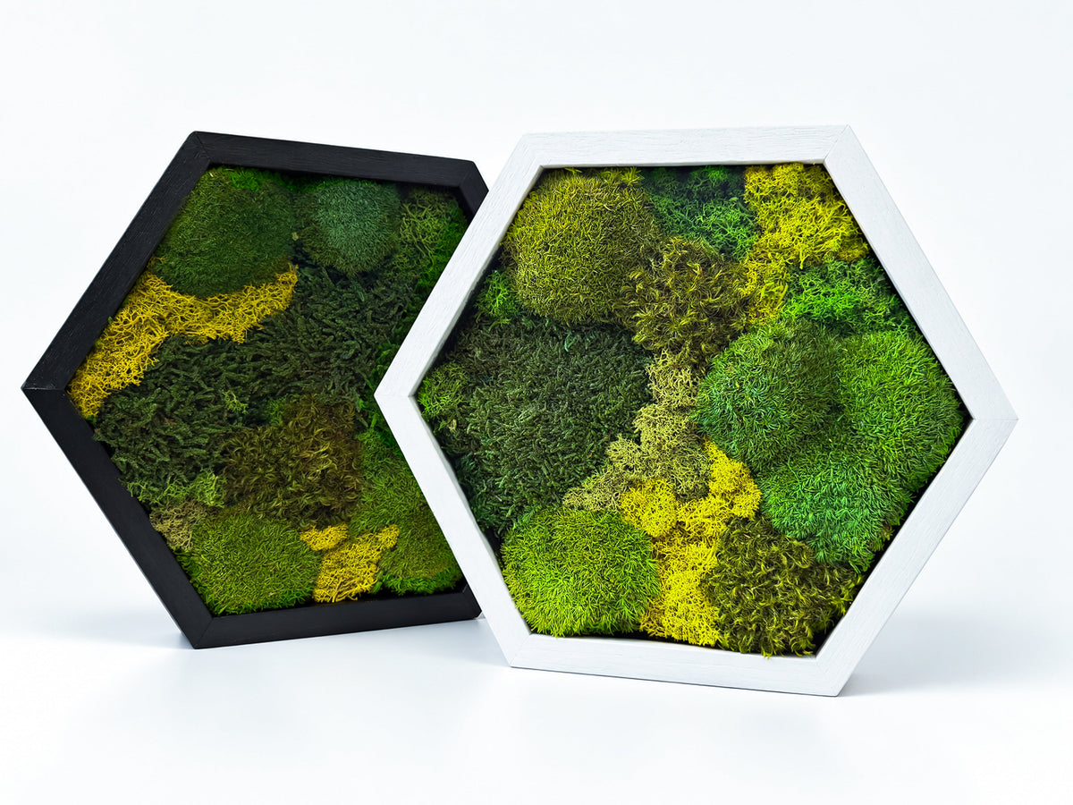 Hexagon Moss Wall Art | Preserved Moss & Dried Floral Frame | Biophilic Decor RishStudio