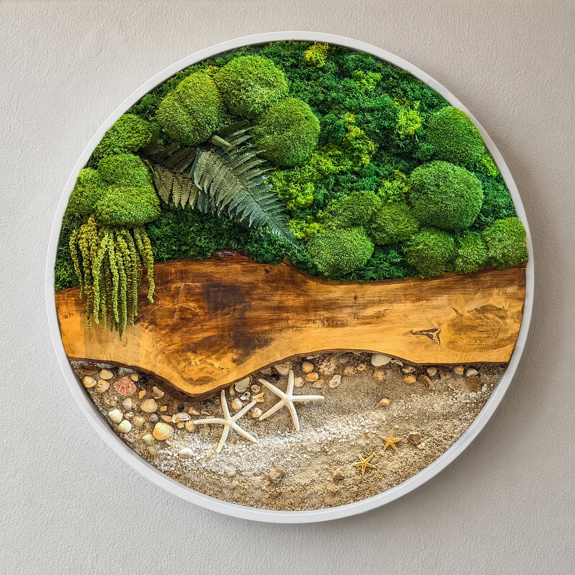 Circular Preserved Moss and Wood Wall Art with Seashells, Real plant wall decor mossartbyrishstudio