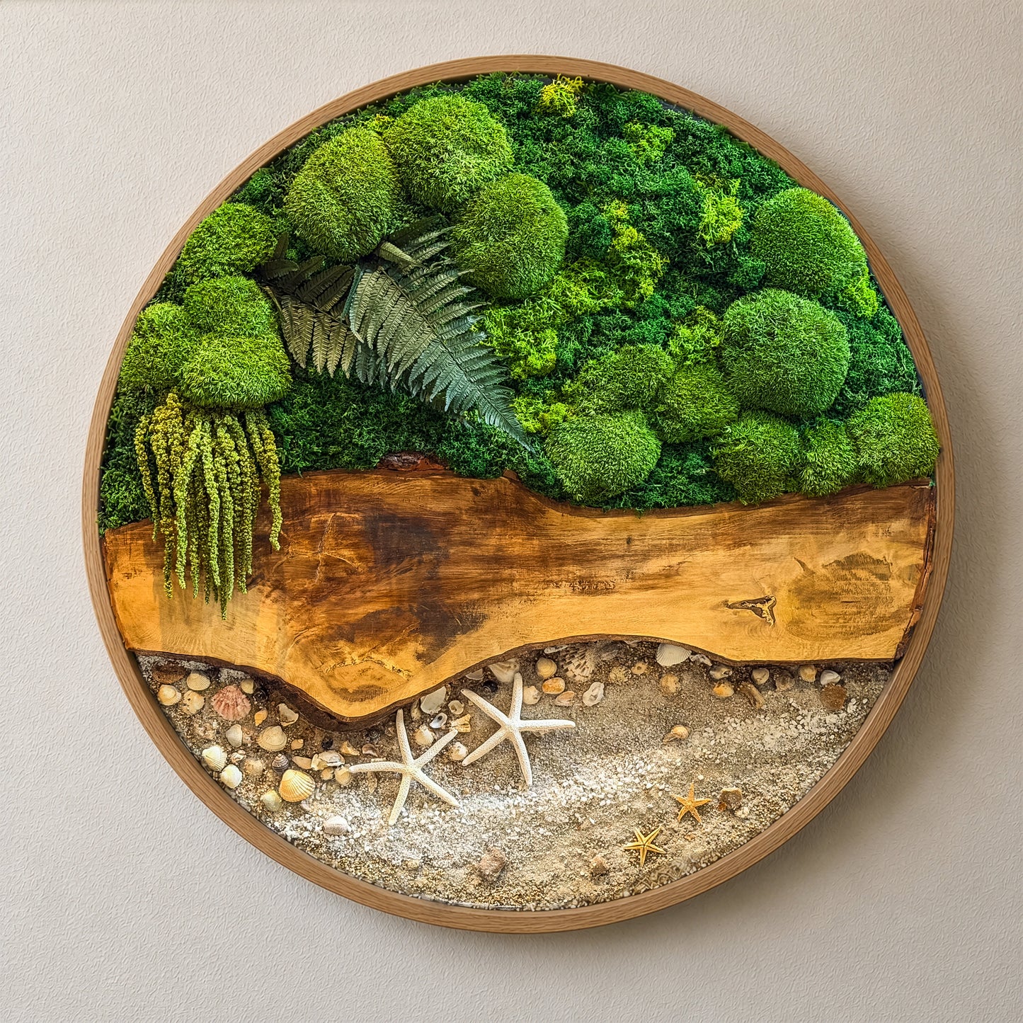 Circular Preserved Moss and Wood Wall Art with Seashells, Real plant wall decor mossartbyrishstudio