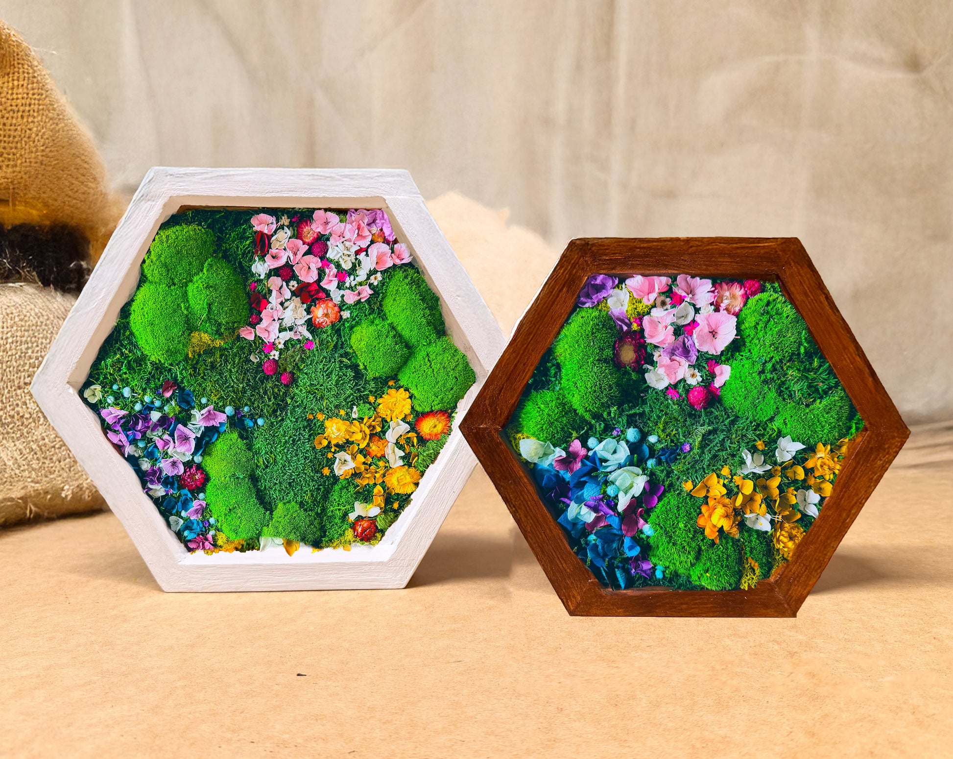 Hexagonal Moss Wall Art - Preserved Moss & Flower Panels for Home Decor RishStudio