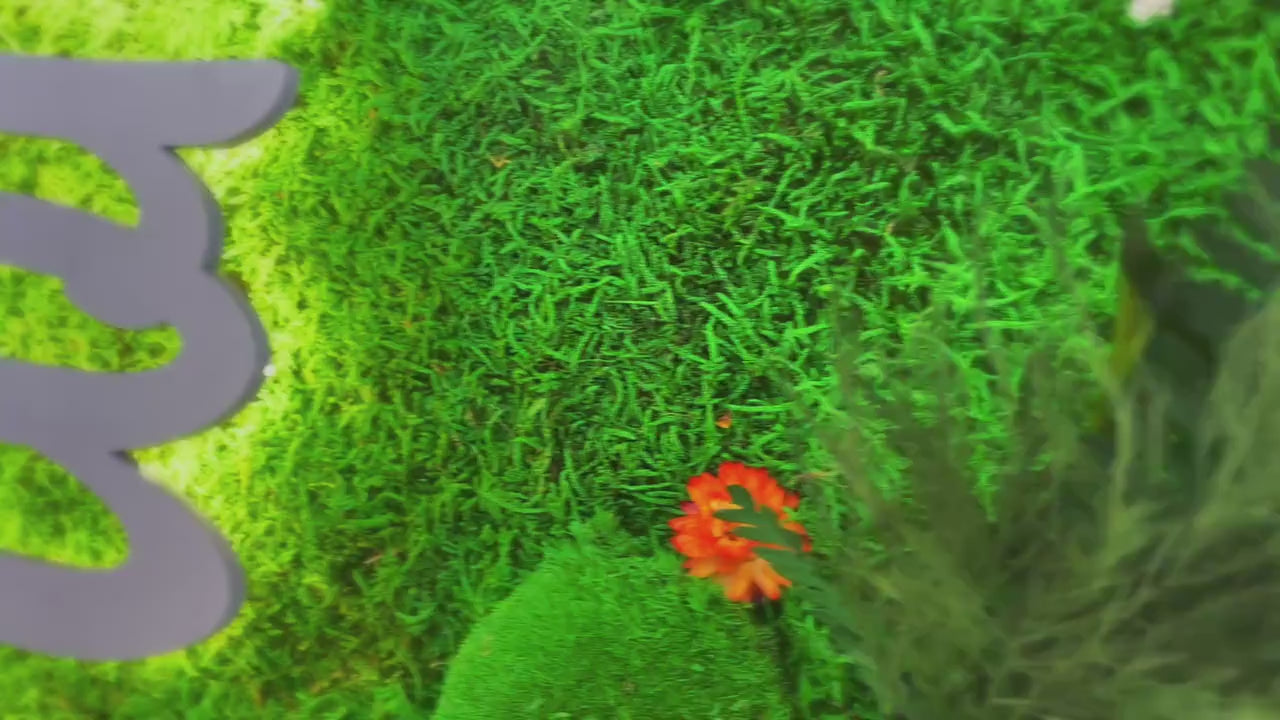 Custom Moss Wall with LED Logo – Welcome Sign Green Wall for Office, Reception, or Retail – Preserved Moss Branding Installation