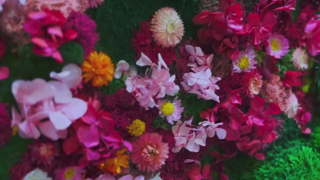 Preserved and dried flowers | Rainbow Moss wall art with flowers | RishStudio