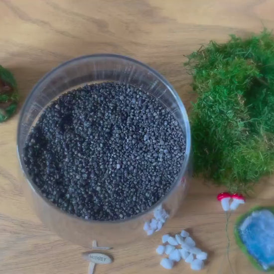 D.I.Y Terrarium | Moss Terrarium | Hobbit House Terrarium