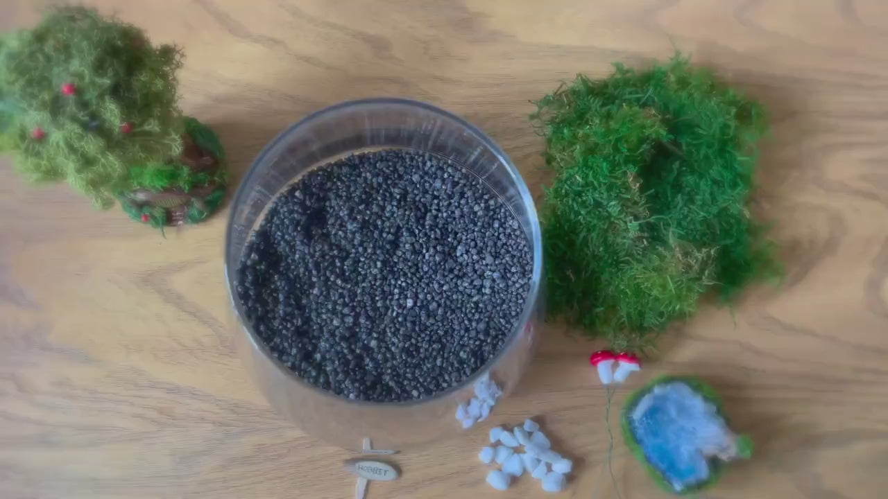 D.I.Y Terrarium | Moss Terrarium | Hobbit House Terrarium