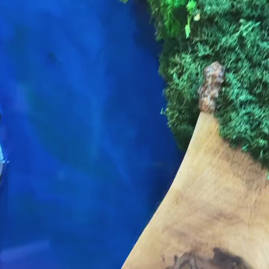 Moss and Wood Wall Art - Handmade Live Edge Olive Wood & Preserved Moss Wall River Design