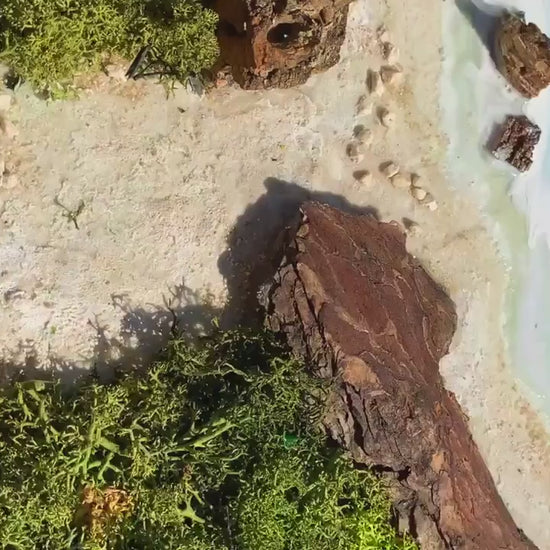 Ocean Art | Resin Art | Moss Art | The Ocean Poster