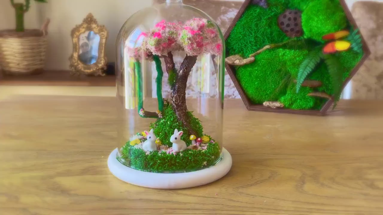 Terrarium, Terrarium kits, Cherry Blossom Terrarium