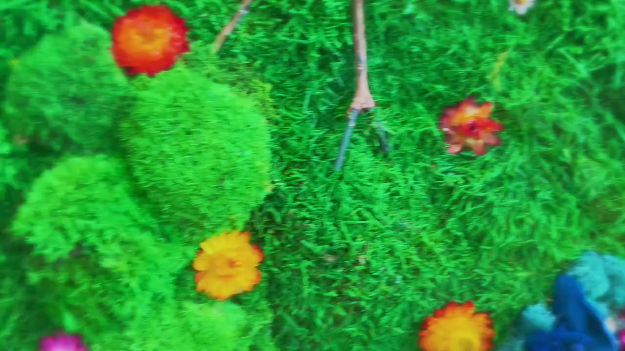 Preserved Moss wall with colorful lichen and dried flower