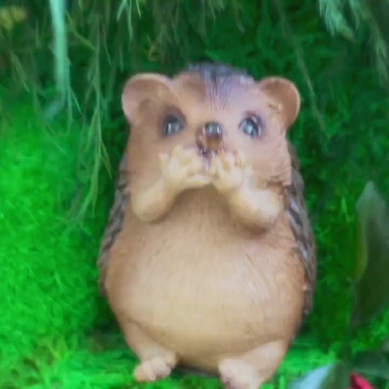 Moss Wall Art | Hedgehog Ornament | Hedgehog House