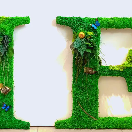 Sustainable Moss Letter Wall Art – Custom Green “LOVE” Sign for Business or Event – Eco-Friendly Biophilic Branding Installation