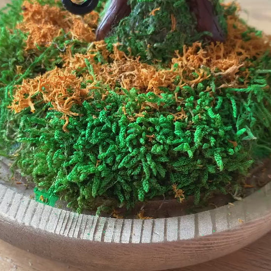 Autumn Terrarium Kit | Terrarium Kit