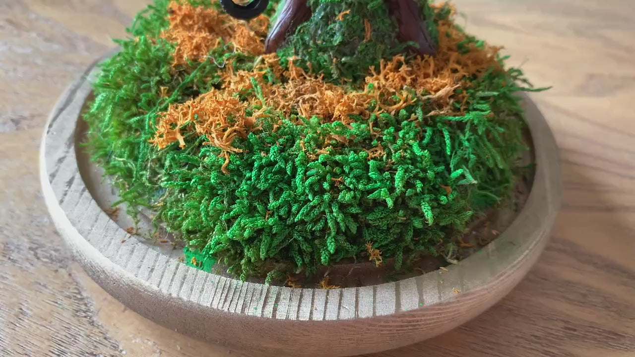 Autumn Terrarium Kit | Terrarium Kit