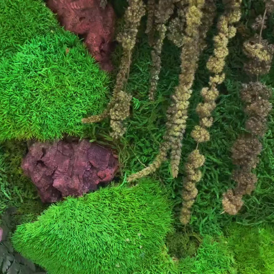 Moss Wall Art | Moss Wall Art set of two 50 x 50 CM