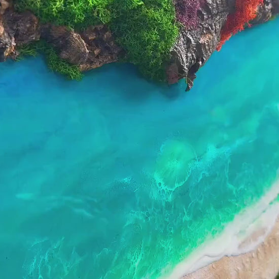 Custom Made Moss and Wood Wall Art | Rainbow Moss Wall Art