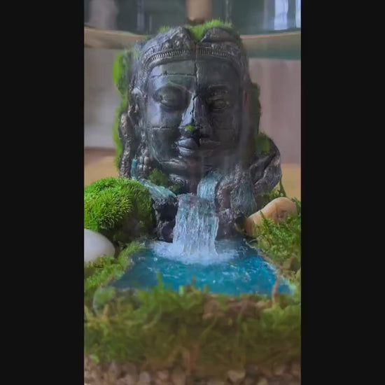 Buddha Terrarium | Terrarium Kit with Glass Container