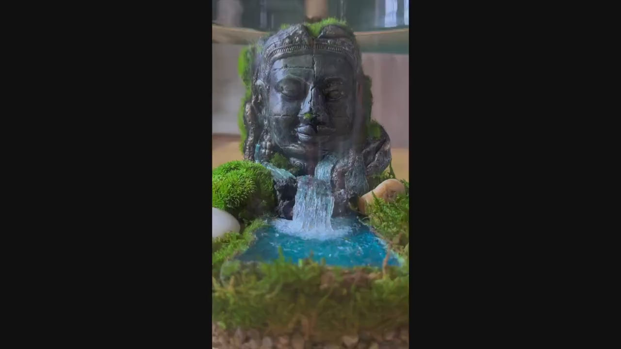 Buddha Terrarium | Terrarium Kit with Glass Container