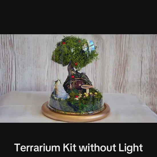 Hobbit House terrarium | Moss terrarium | RishStudio