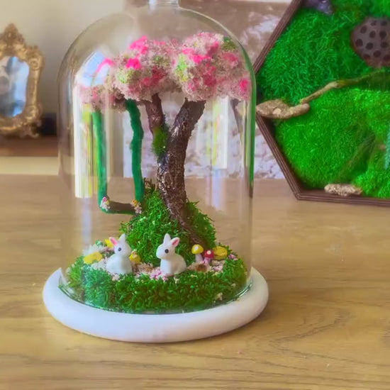 Terrarium, Terrarium kits, Cherry Blossom Terrarium