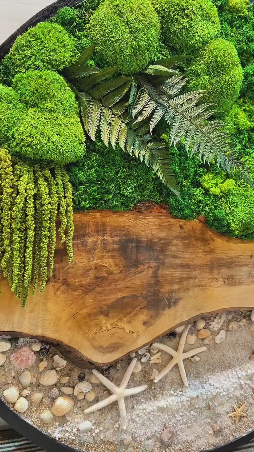 Circular Preserved Moss and Wood Wall Art with Seashells, Real plant wall decor,