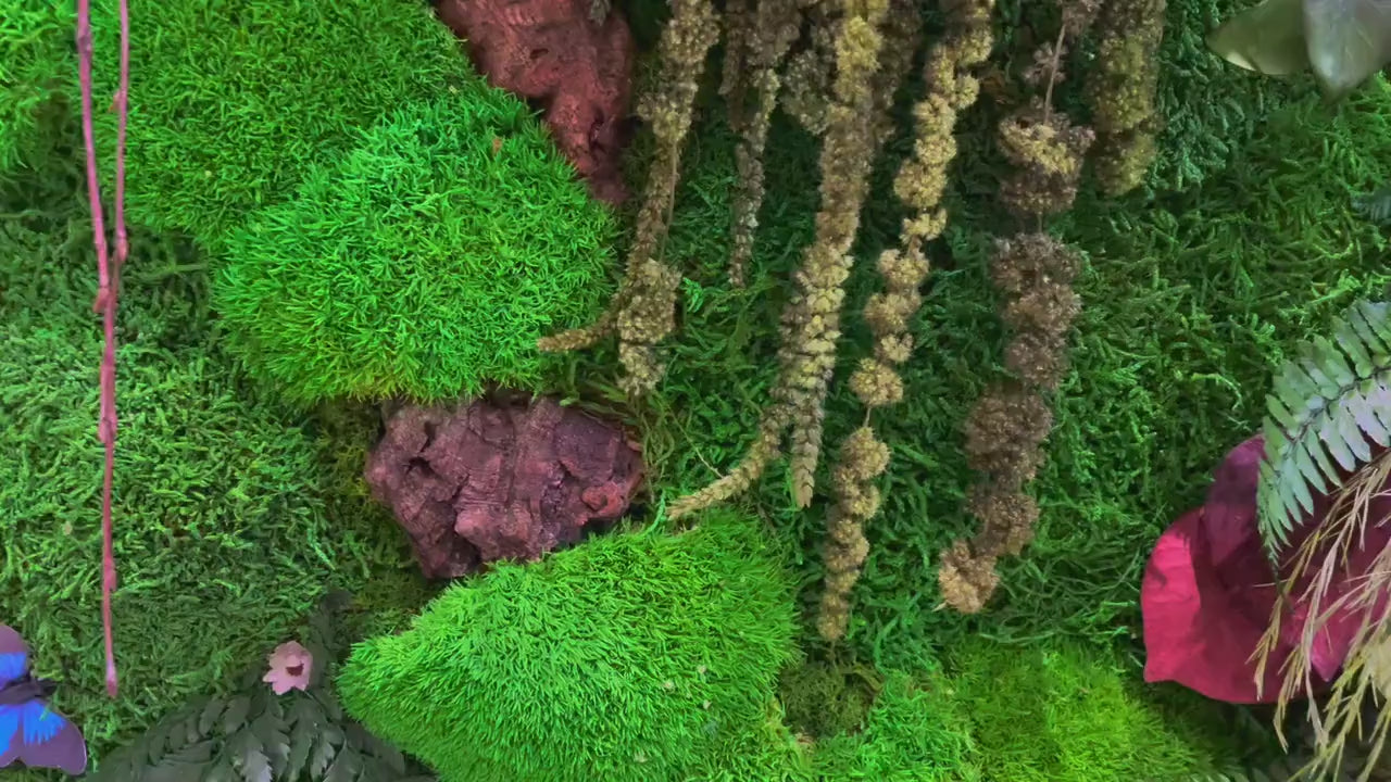 Moss Wall Art | Moss Wall Art set of two 50 x 50 CM