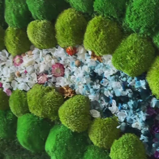 Preserved Moss Wall Art with LED Lights and Flowers: Wood Frame Colourful Natural Moss Painting,
