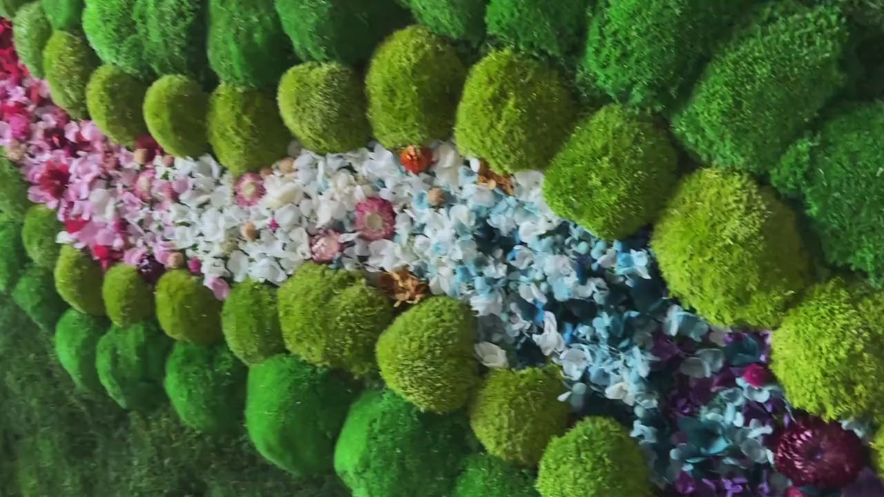 Preserved Moss Wall Art with LED Lights and Flowers: Wood Frame Colourful Natural Moss Painting,