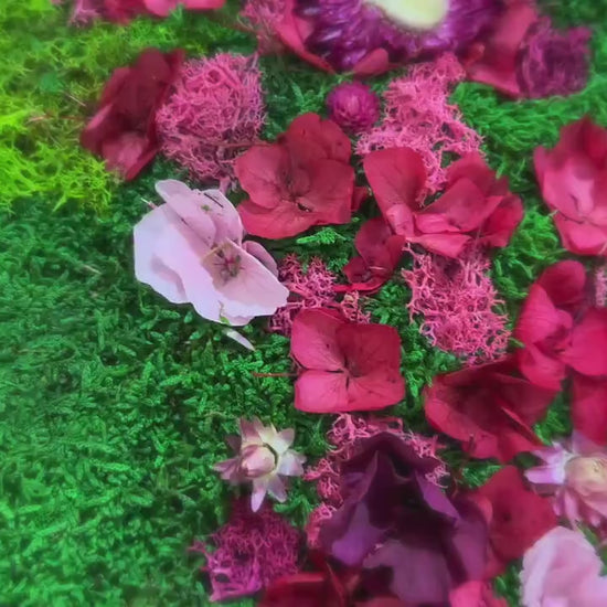 Rainbow Moss wall art with bun moss, colourful lichen and dried flowers