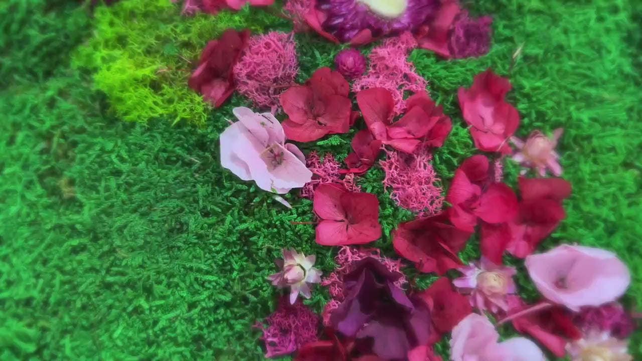 Rainbow Moss wall art with bun moss, colourful lichen and dried flowers