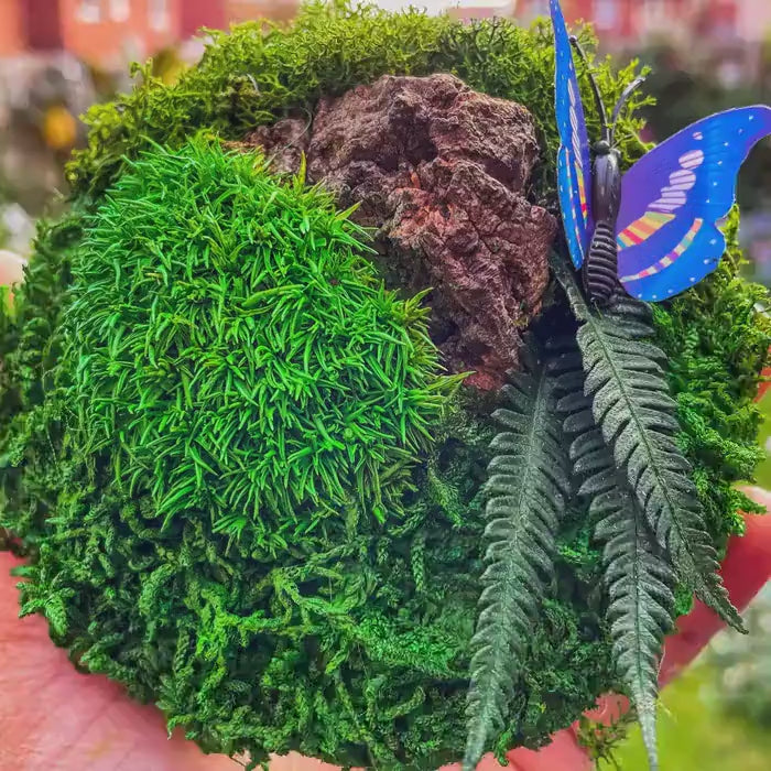 Moss Wall Art, Moss Painting, Moss Art, Sample Moss Art, Custom Fridge Magnets, Moss panels, Moss walls, Moss Artwork, Personalised gifts