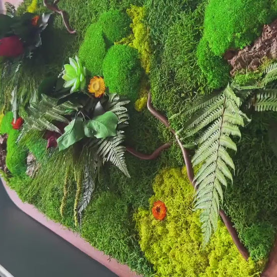 Oval Framed Preserved Moss Wall Art: Botanical Decor Walnut Irregular Frame, Natural Moss Painting