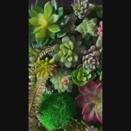 Succulent wall art | succulent gifts
