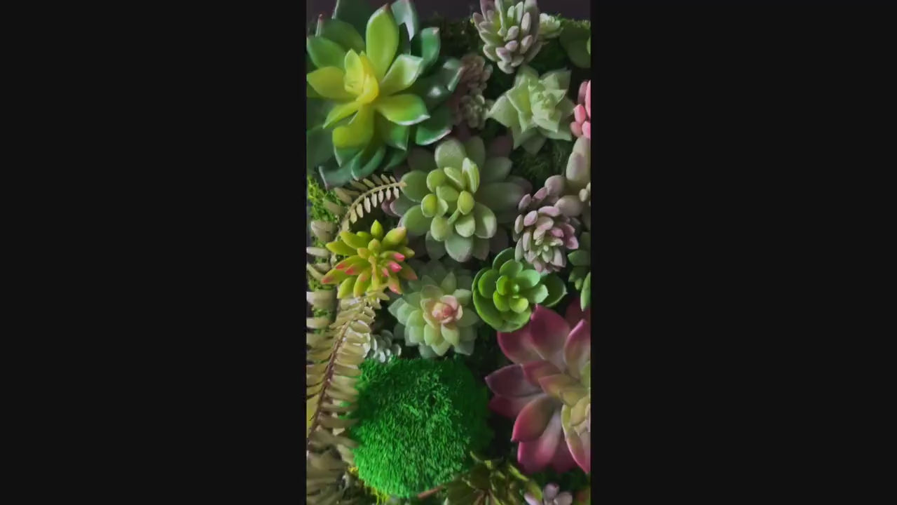 Succulent wall art | succulent gifts