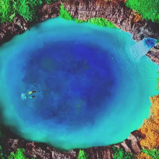 Large Moss Art, Preserved Moss Wall Art, Wooden Framed green Moss Wall Panel