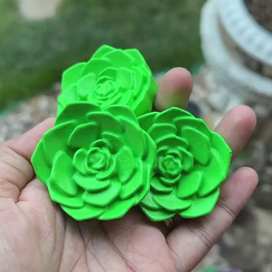 Succulent knobs and pulls | Cacti & Succulent Drawer Pulls