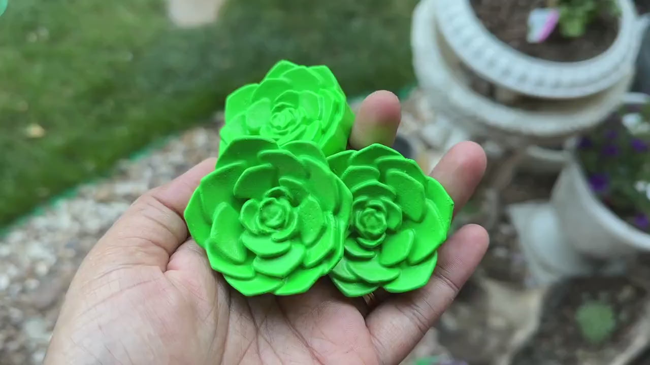 Succulent knobs and pulls | Cacti & Succulent Drawer Pulls