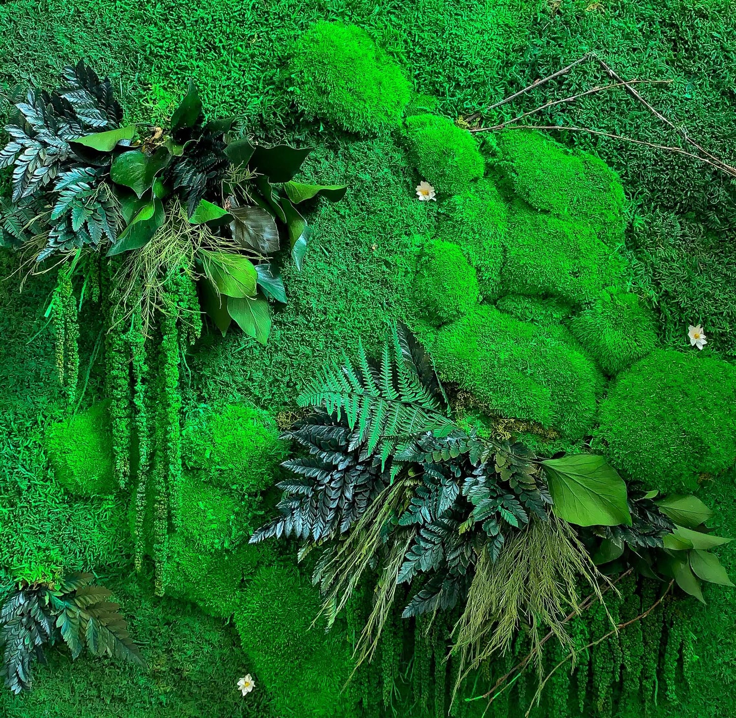 Moss Wall Art | Moss Wall Art set of two 50 x 50 CM RishStudio