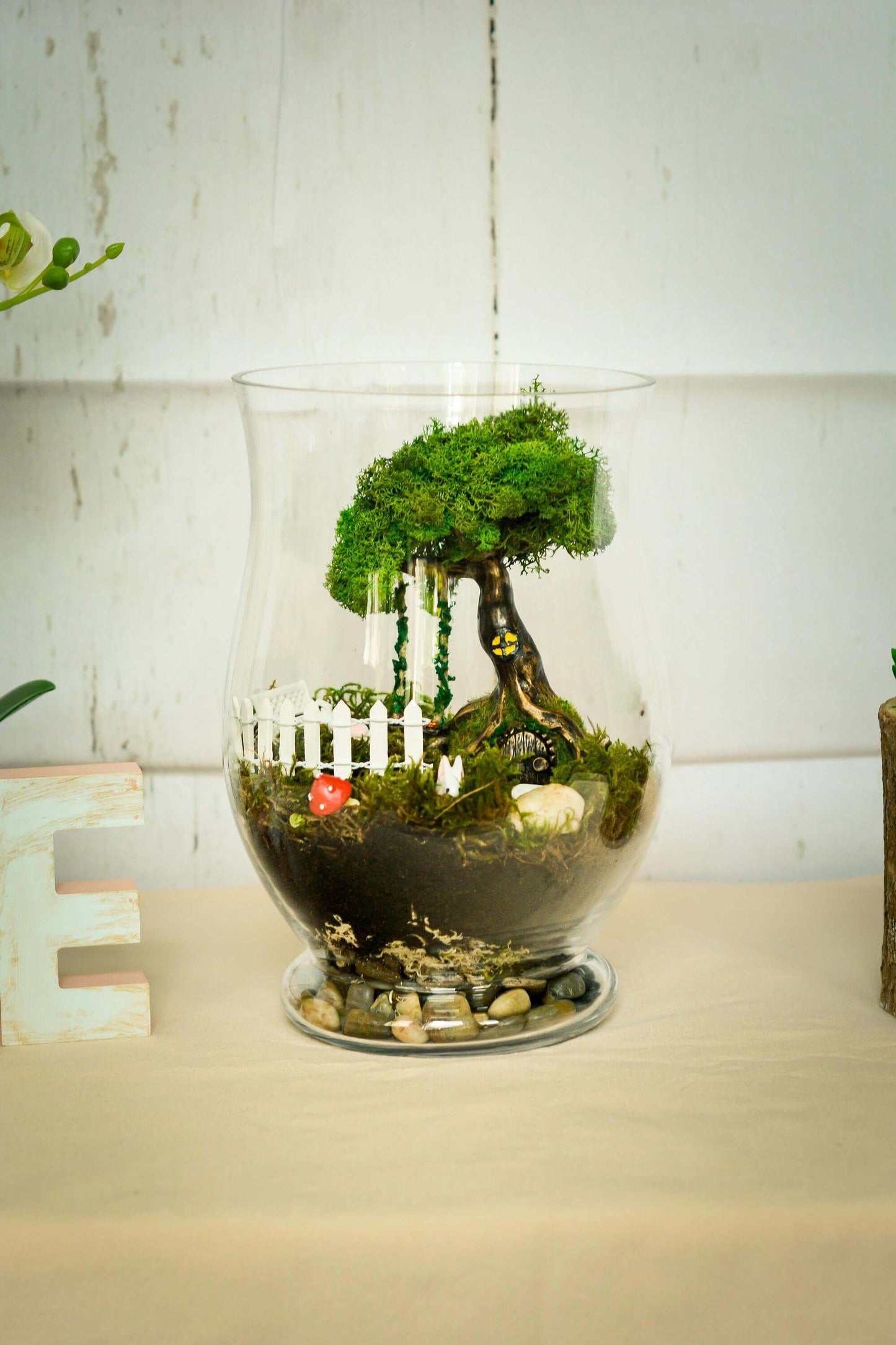 Terrarium kit | Fairy Garden DIY Kit with living Moss RishStudio