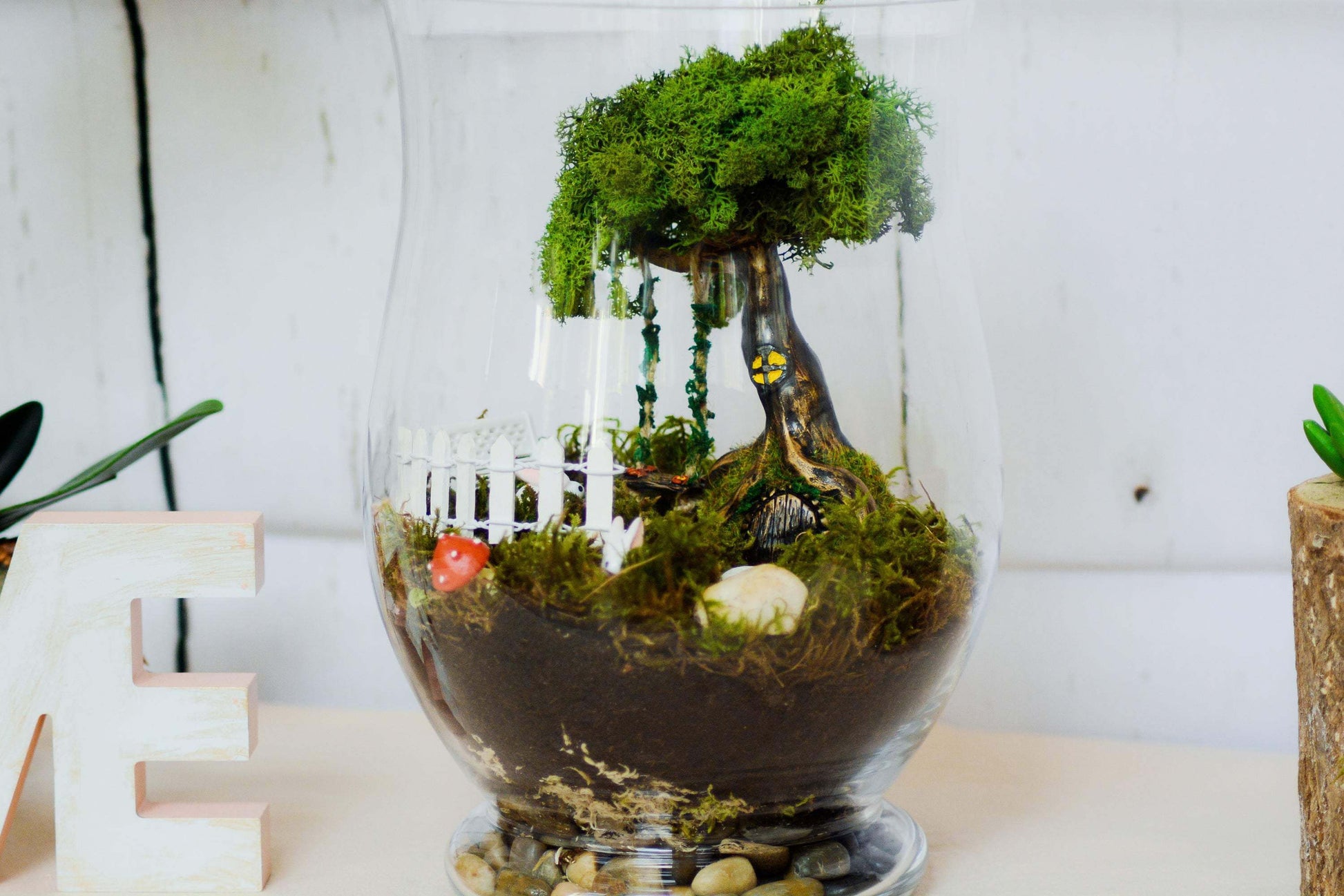 Terrarium kit With Glass container |  Moss terrarium | fairy garden kit RishStudio