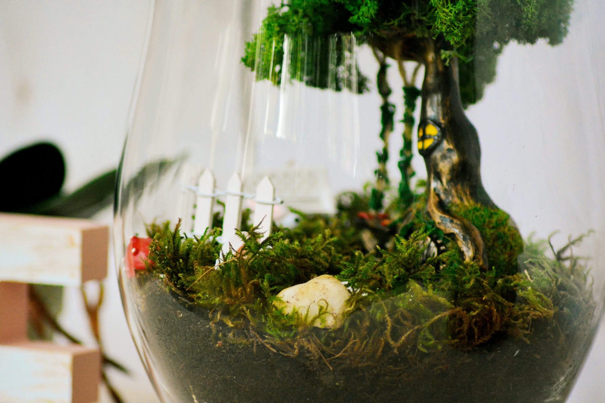Terrarium kit  Fairy Garden DIY Kit with living Moss RishStudio