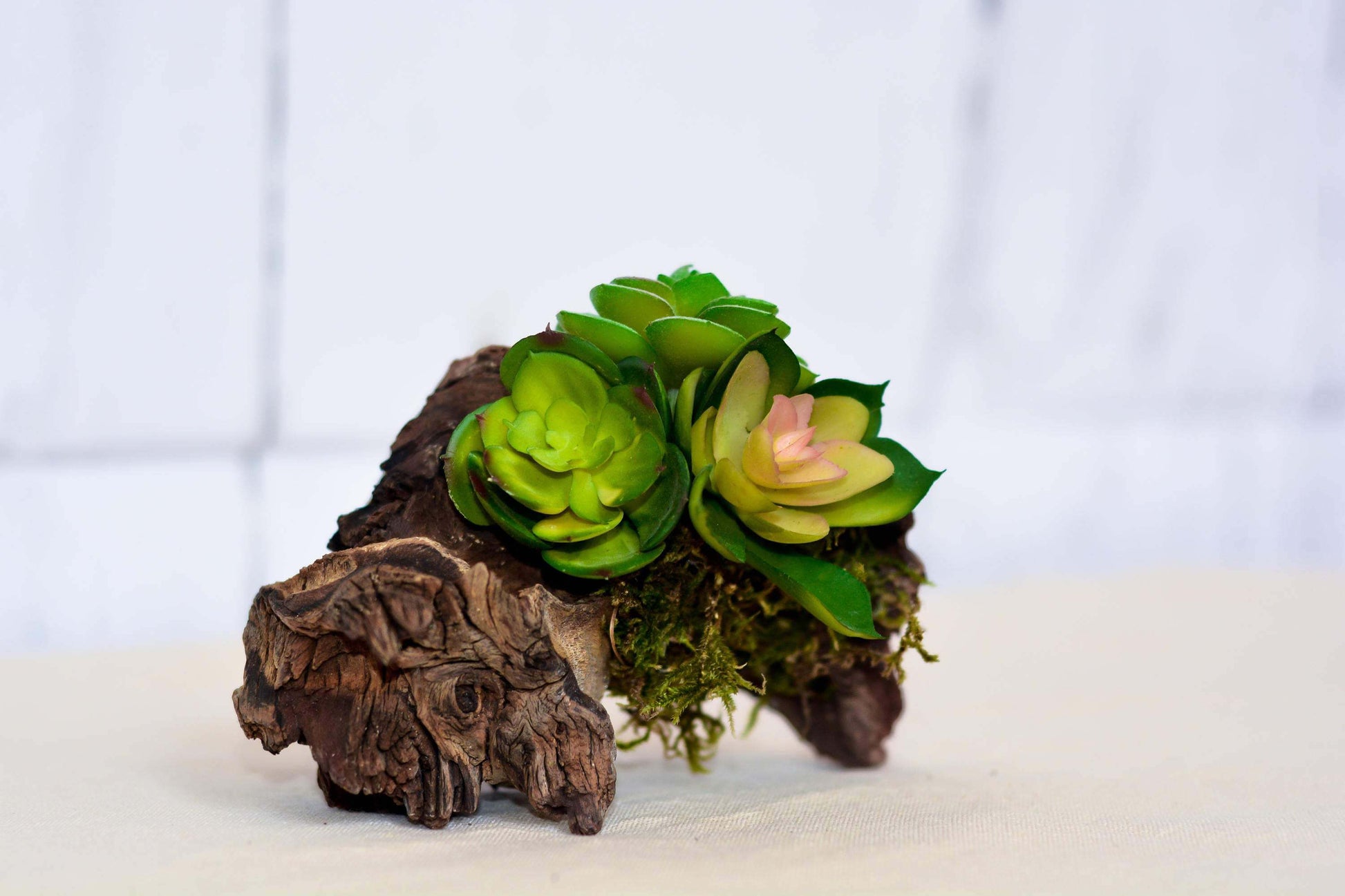 succulent driftwood wall art Driftwood Succulent Display, Artificial succulent, Driftwood – mossartbyrishstudio