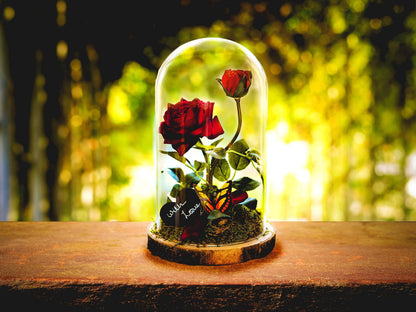 Beauty & The Beast inspired enchanted rose in a glass dome mossartbyrishstudio