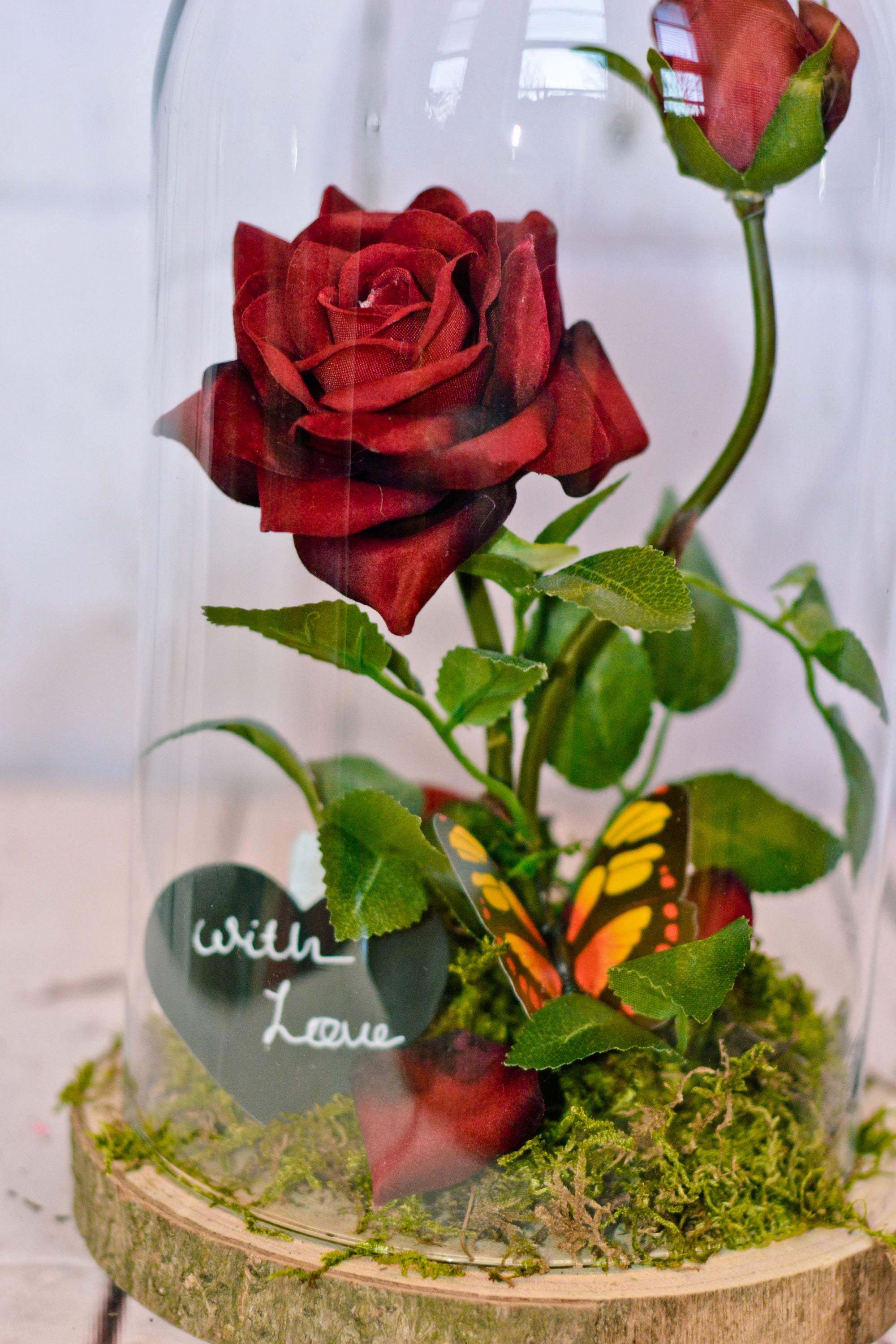 Beauty and the 2025 beast rose under glass