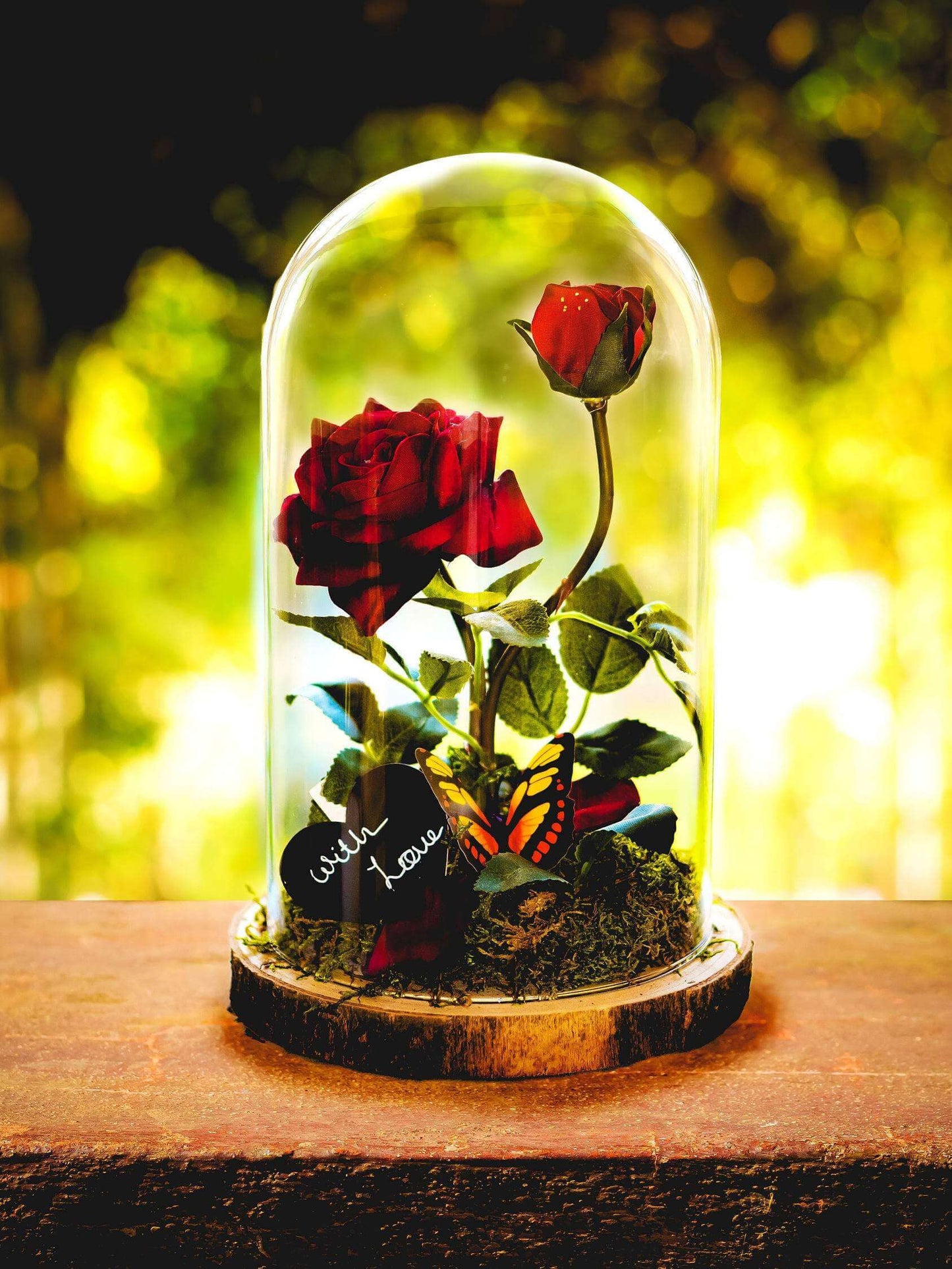 Beauty & The Beast inspired enchanted rose in a glass dome mossartbyrishstudio