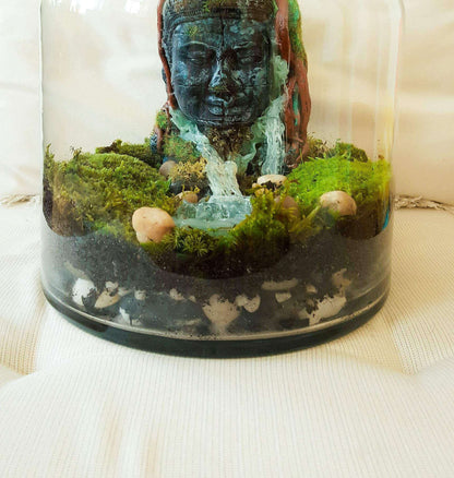 Buddha Terrarium | Terrarium Kit with Glass Container RishStudio