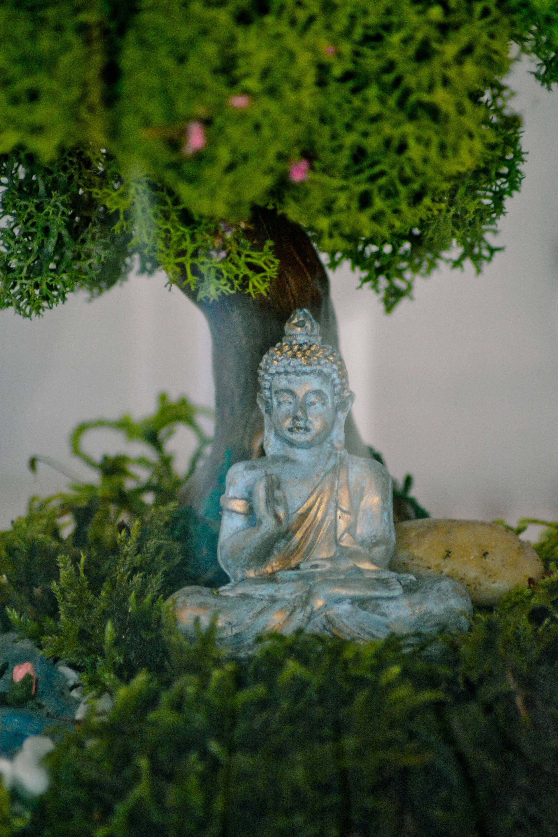 Buddha Terrarium kit | Buddha gift mossartbyrishstudio