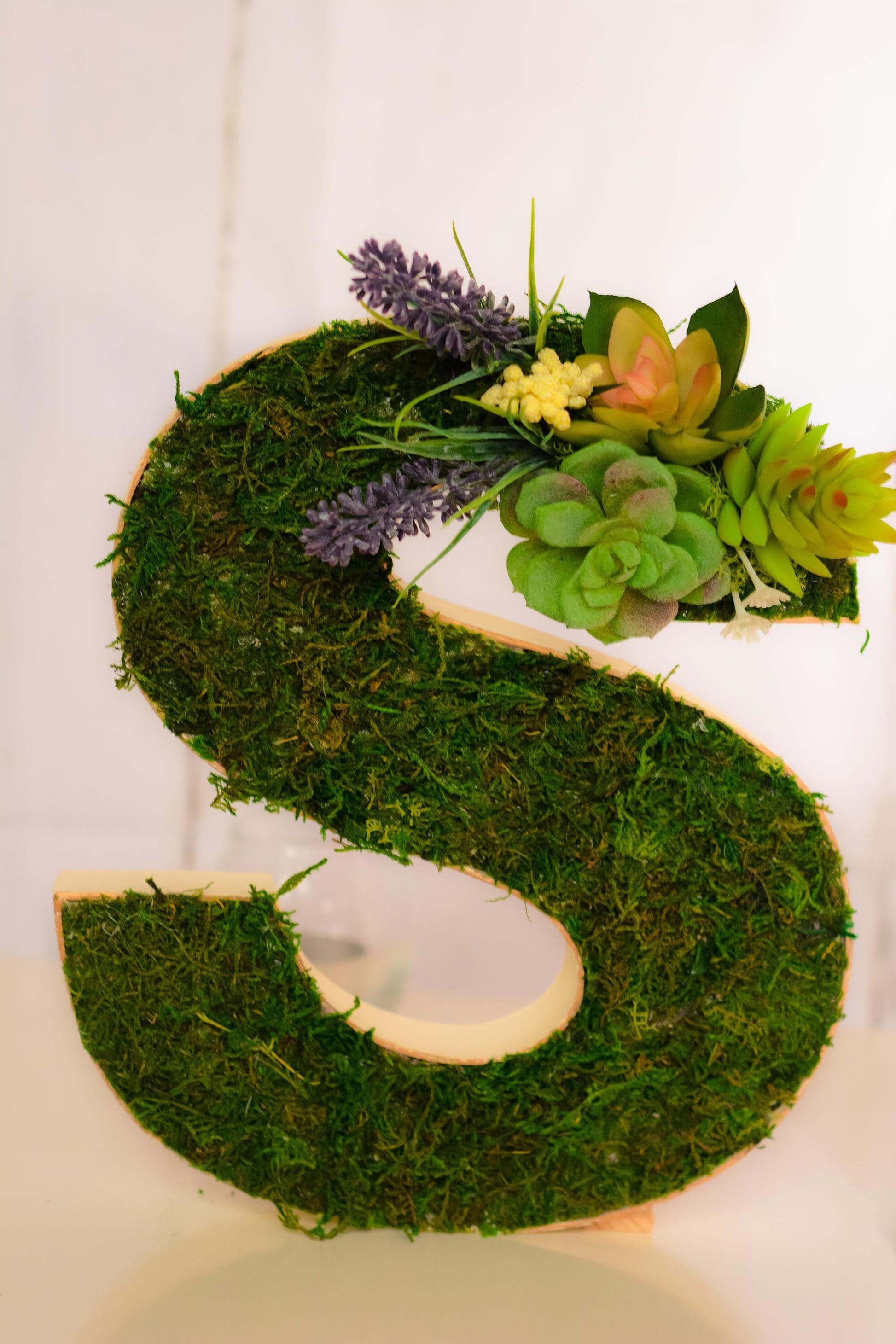 Moss letters, Succulent letters, Moss Covered Letters, Moss wall art, moss art, moss, letter with moss, outdoor moss letters, large moss letters, moss covered letters for wedding - mossartbyrishstudio
